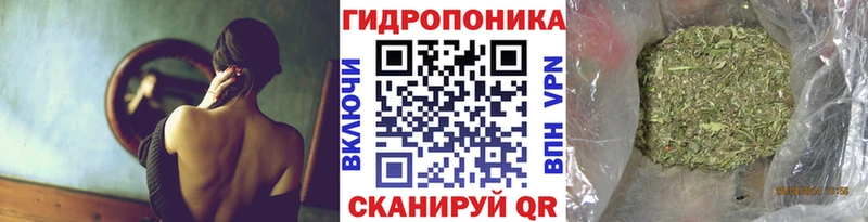 дарк нет телеграм  Ртищево  Бошки марихуана OG Kush 